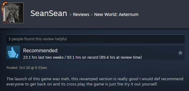 Image of the article titled New World: Eternal, as described in a Steam review